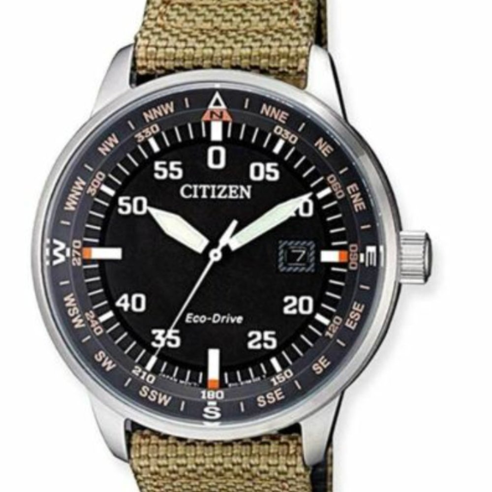 Citizen Eco Drive Beige Band 42mm